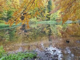 55954375112824035903542532855890769721588792n